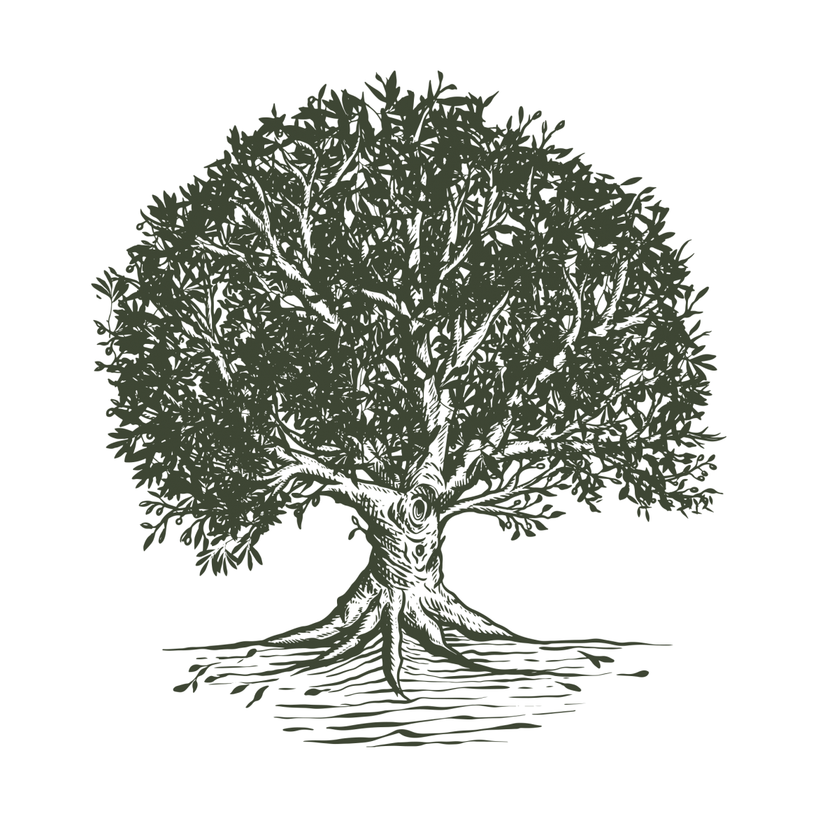 tree-4.png
